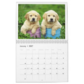Welpen-Kalender 2019 Kalender (Jan 2027)
