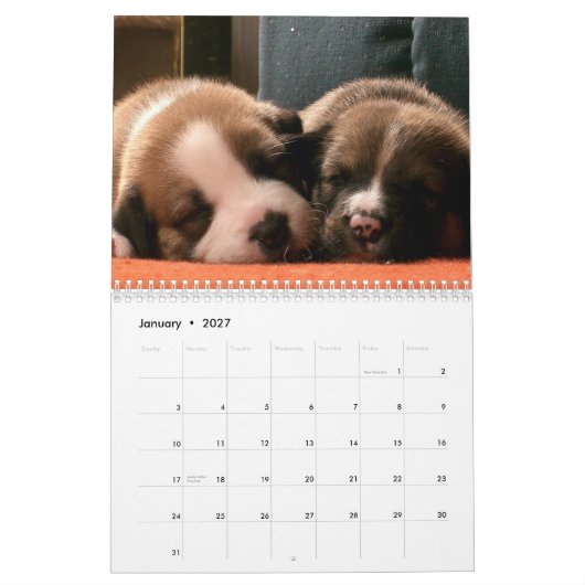 Welpen-Kalender Kalender (Jan 2027)