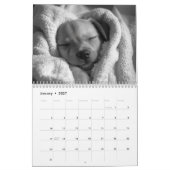 Welpen-Kalender Kalender (Jan 2027)