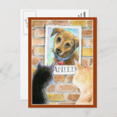 Welpen, Katzen, "Gewollt" Postkarte (Vorne/Hinten)
