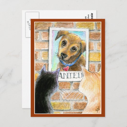 Welpen, Katzen, "Gewollt" Postkarte (Vorne/Hinten)