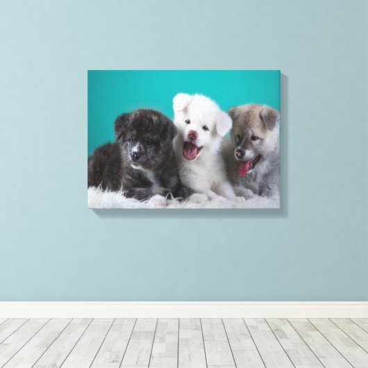 Welpen Leinwanddruck (Insitu (Holzboden))