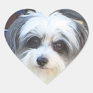 Welpen-Liebe-Aufkleber Herz-Aufkleber