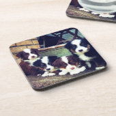 Welpen-Liebe - entzückende australische Schäfer Getränkeuntersetzer (Linke Seite)