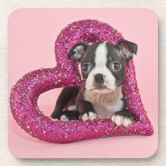 Welpen-Liebe Getty Bild-| Untersetzer (Vorderseite)