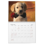 Welpen-Liebe Kalender (Feb 2027)