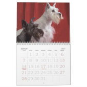 Welpen-Liebe Kalender (Mär 2027)