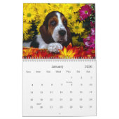 Welpen-Liebe Kalender (Jan 2026)