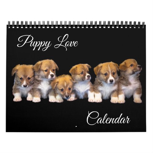 Welpen-Liebe-Kalender Kalender (Titelbild)