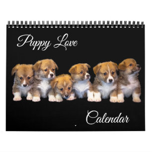 Welpen-Liebe-Kalender Kalender