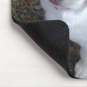 Welpen-Liebe Mousepad (Ecke)