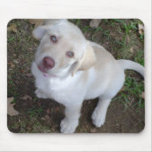 Welpen-Liebe Mousepad (Vorne)