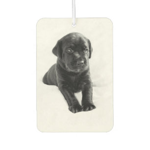 Welpen-Liebeschwarzes Labrador Autolufterfrischer