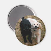 Welpen-Magnet Magnet (Vorderseite/Rückseite)