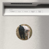 Welpen-Magnet Magnet (In Situ (Geschirrspüler))