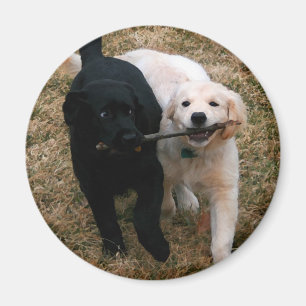 Welpen-Magnet Magnet