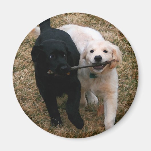 Welpen-Magnet Magnet (Vorne)