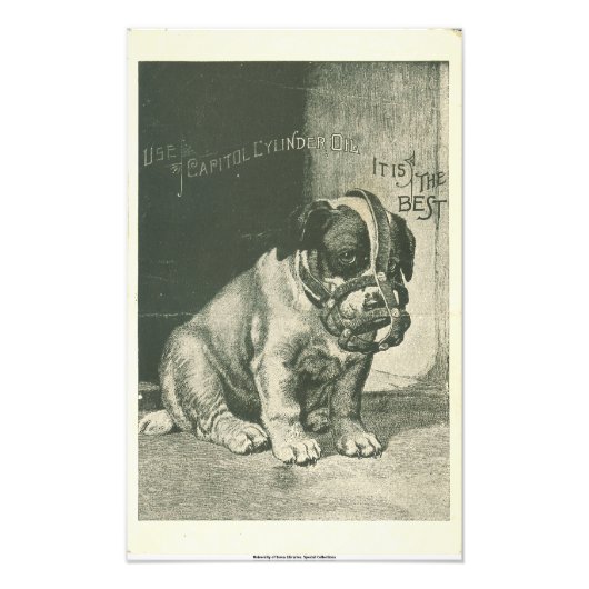 Welpen mit Maulkorb Ephemera Fotodruck (Vorne)