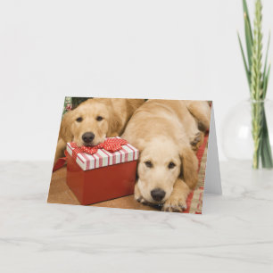 Welpen mit Weihnachtsgeschenk Feiertagskarte