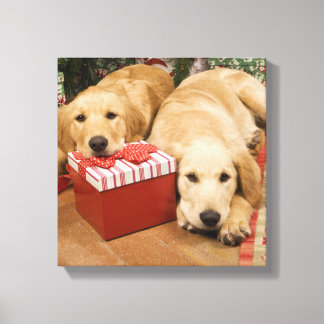 Welpen mit Weihnachtsgeschenk Leinwanddruck