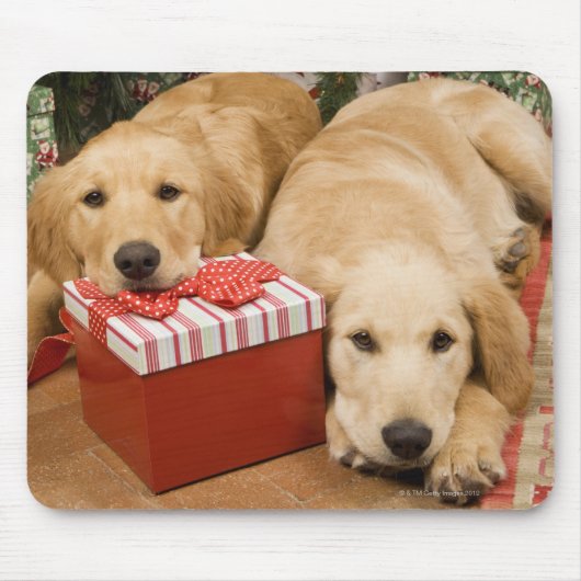 Welpen mit Weihnachtsgeschenk Mousepad (Vorne)