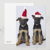 Welpen mit Weihnachtsmannmützen Feiertagskarte (Vorne/Hinten)