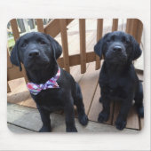 Welpen Mousepad (Vorne)