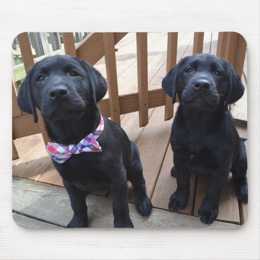 Welpen Mousepad (Vorne)