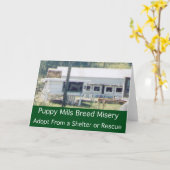 Welpen-Mühlzucht-Elends-Karte Karte (Gelbe Blume)