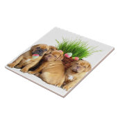 Welpen Ostern Dogue de Bordeaux Fliese (Seite)