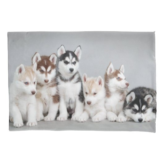 Welpen Pillowcase Kissenbezug (Vorderseite)