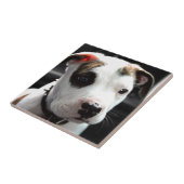 Welpen-Pitbull-förmiger Knochen Fliese (Seite)