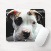 Welpen-Pitbull-förmiger Knochen Mousepad (Mit Mouse)