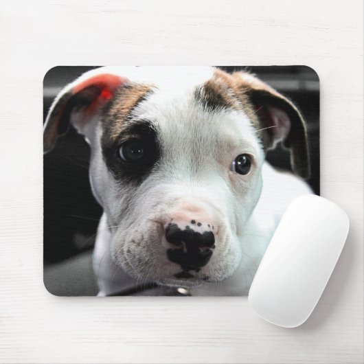 Welpen-Pitbull-förmiger Knochen Mousepad (Mit Mouse)