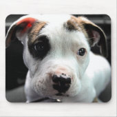 Welpen-Pitbull-förmiger Knochen Mousepad (Vorne)