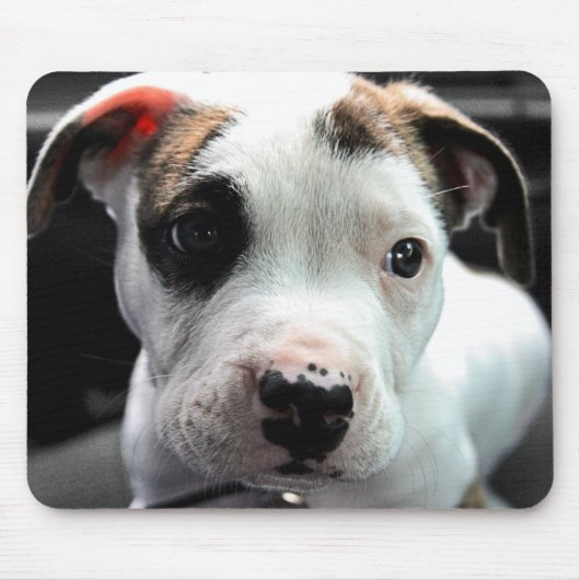 Welpen-Pitbull-förmiger Knochen Mousepad (Vorne)