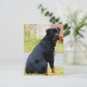 Welpen Postkarte (Stehend Vorderseite)