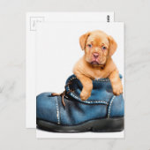 Welpen Postkarte (Vorne/Hinten)