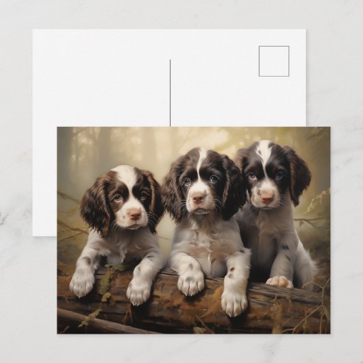 Welpen Postkarte (Vorne/Hinten)