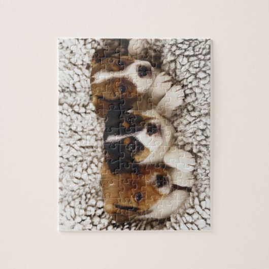 Welpen Puzzle (Vertikal)