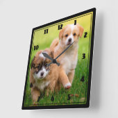 Welpen Quadratische Wanduhr (Winkel)
