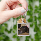 Welpen-Schlüsselanhänger Schlüsselanhänger (Hand)