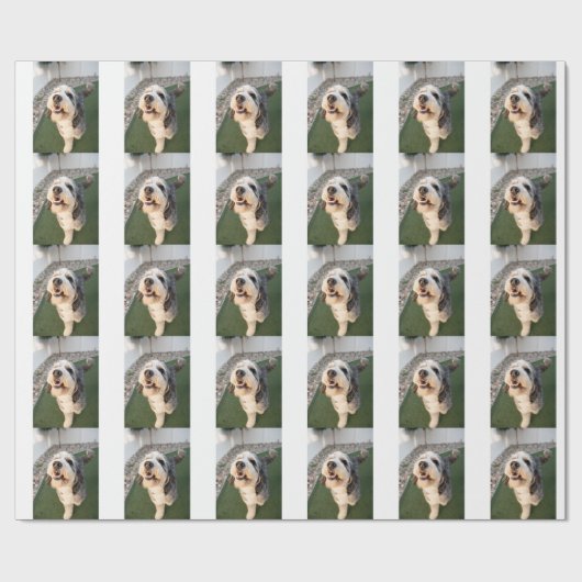 Welpen Socken Geschenkpapier (Flach)