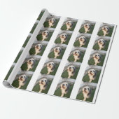 Welpen Socken Geschenkpapier (Ungerollt)