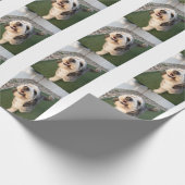Welpen Socken Geschenkpapier (Ecke)
