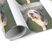 Welpen Socken Geschenkpapier (Rolleneckpunkt)
