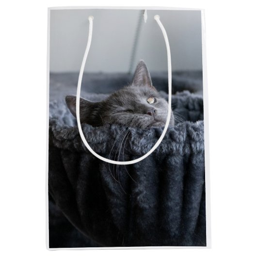 Welpen Socken Mittlere Geschenktüte (Vorderseite)