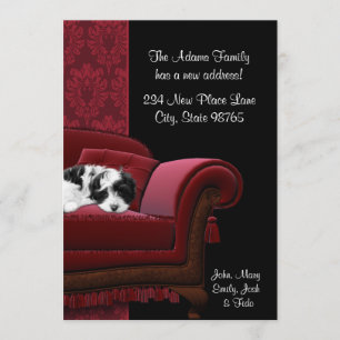 Welpen-Sofa Umzugskarten Ankündigung