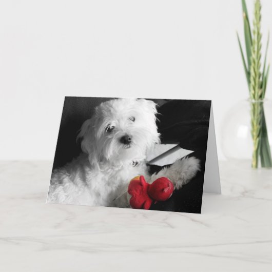 Welpen-Spiel Karte (Vorderseite)