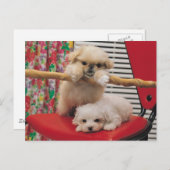 Welpen spielen postkarte (Vorne/Hinten)